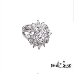 Park Lane Incredible Ring